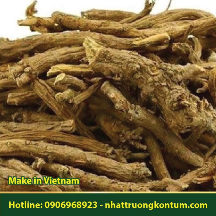 Hoàng Cầm - Scutellaria baicalensis - Túi 1kg