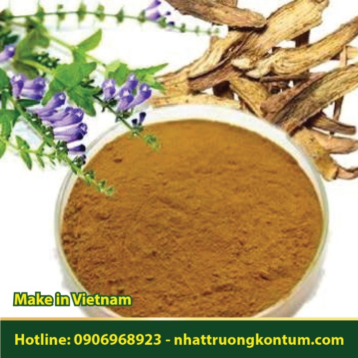 Bột Hoàng Cầm - Scutellaria baicalensis Powder - Túi 1kg