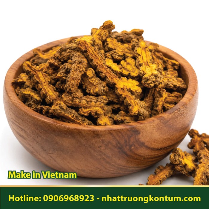 Hoàng Liên - Coptis chinensis - Túi 1kg