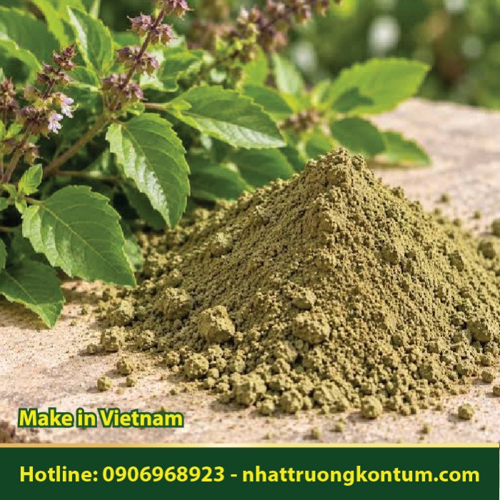 Bột Hương Nhu Tía - Ocimum tenuiflorum Powder - Túi 1kg