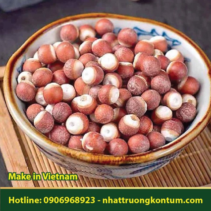 Khiêm Thực - Hạt Cây Hoa Súng - Euryale ferox - Túi 1kg