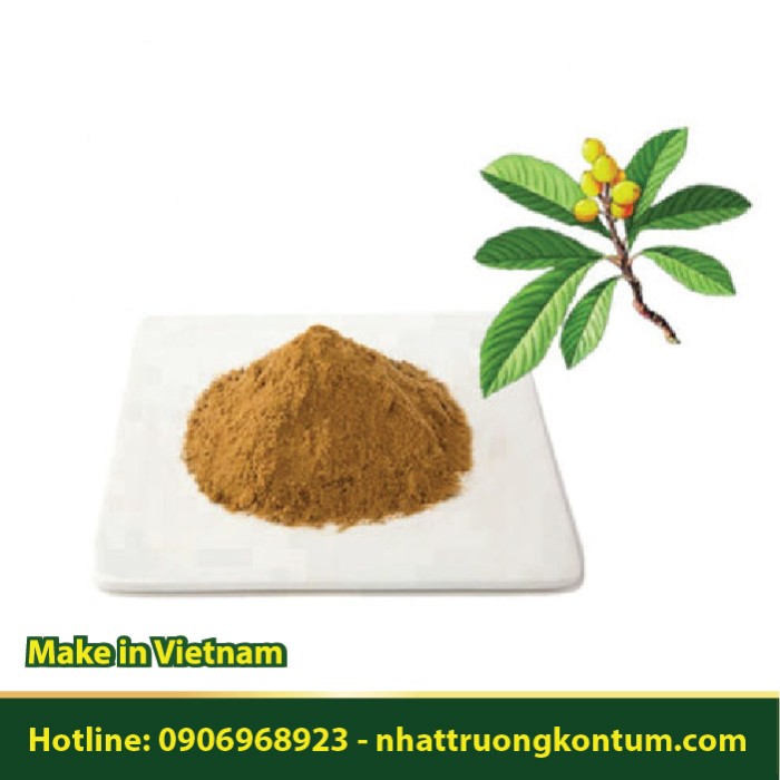 Bột Lá Tỳ Bà Diệp - Eriobotrya japonica Powder - Túi 1kg