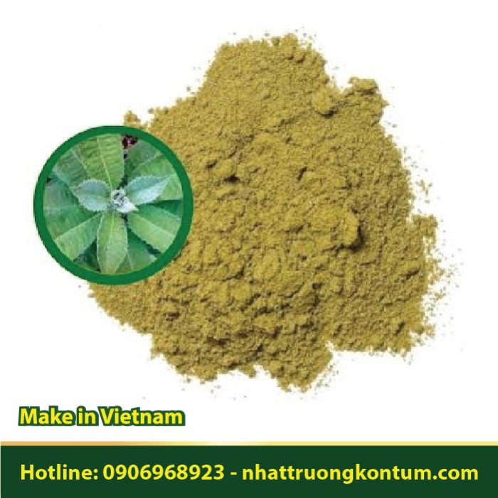 Bột Lá Xương Sông - Blumea lanceolaria Powder - Túi 1kg