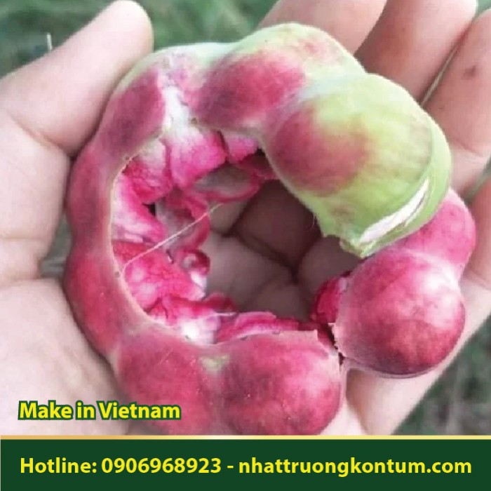 Me Keo - Pithecellobium dulce - Túi 1kg