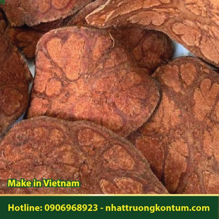 Dây Móng Bò Lửa - Thập Chỉ Hồng - Bauhinia pyrrhoclada - Túi 1kg