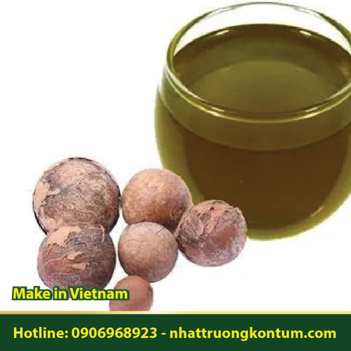 Dầu Mù U - Calophyllum inophyllum Seed Oil - Túi 1kg