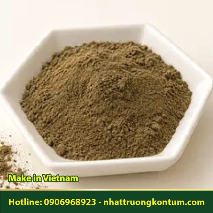 Bột Cây Thuốc Giấu - Ngải Bưởi - Euphorbia tithymaloides Powder - Túi 1kg