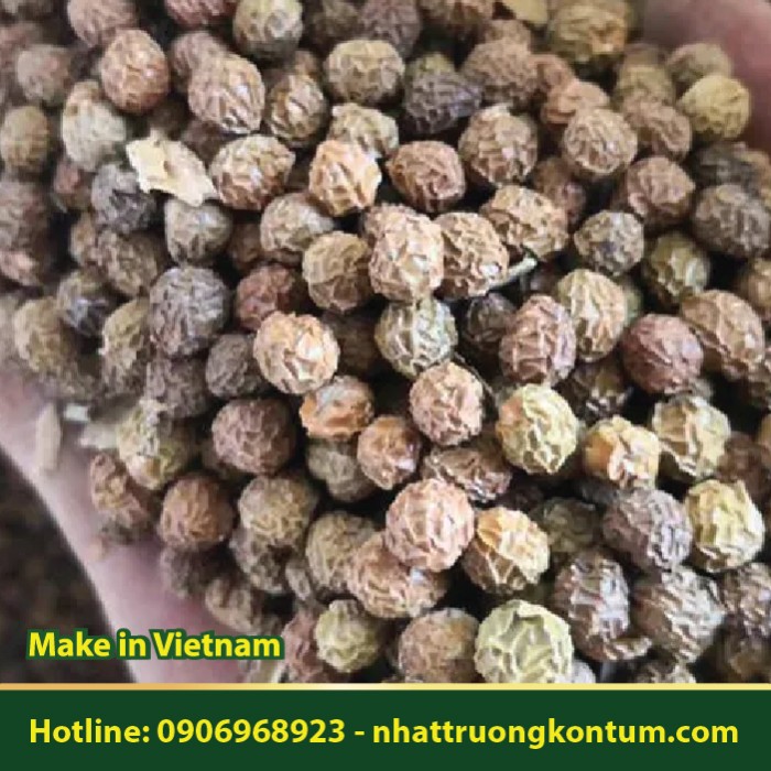 Bột Ngô Đồng Thân Gỗ - Firmiana simplex Seed - Firmiana simplex Powder - Túi 1kg