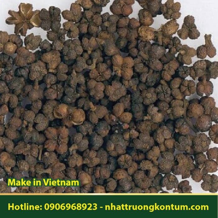 Ngô Thù Du - Evodia rutaecarpa - Túi 1kg