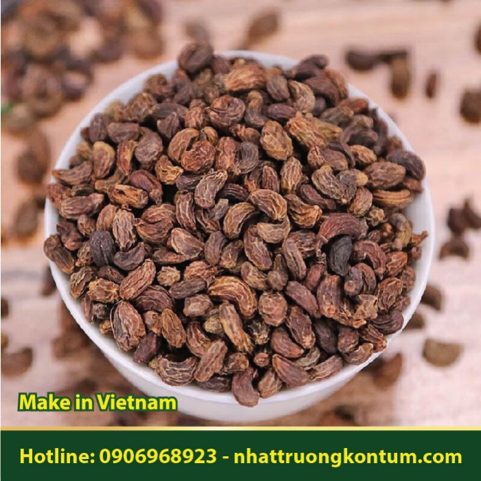 Nữ Trinh Tử - Ligustrum lucidum - Túi 1kg
