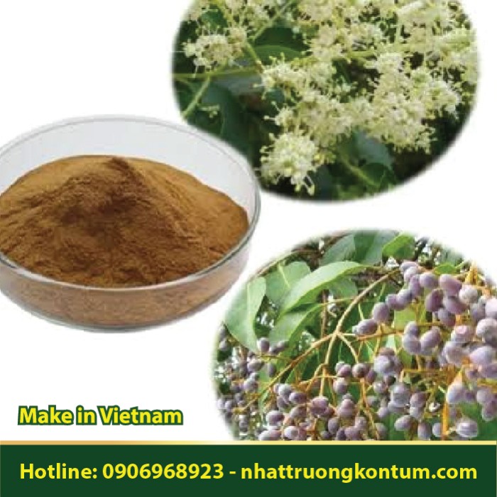 Bột Nữ Trinh Tử - Ligustrum lucidum Powder - Túi 1kg