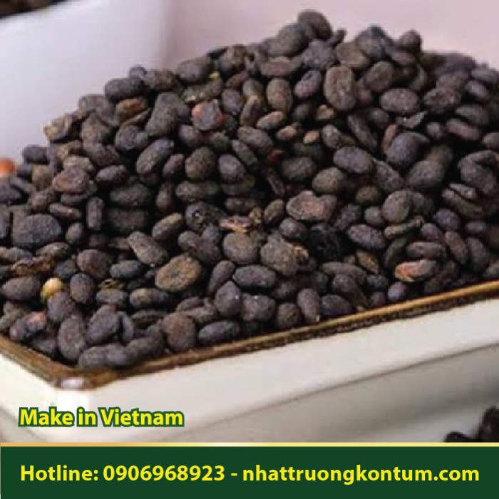 Phá Cố Chỉ - Psoralea corylifolia - Túi 1kg