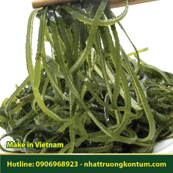Phổ Tai - Laminaria japonica - Túi 1kg