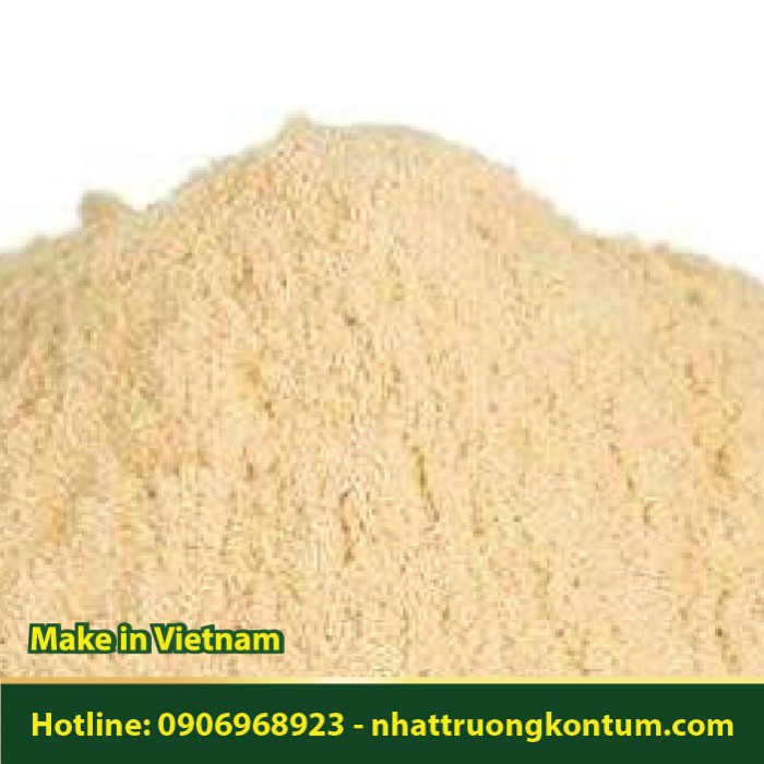 Bột Quả Bần - Sonneratia caseolaris Powder - Túi 1kg