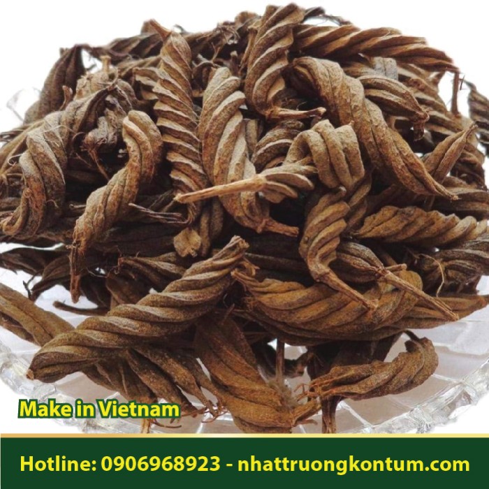 Quả Dó Tròn - Tổ Kén Tròn - Helicteres isora - Túi 1kg