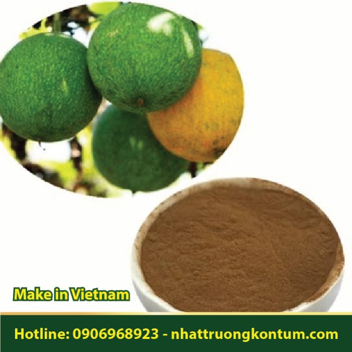 Bột Cây Qua Lâu - Qua Lâu Nhân - Trichosanthes kirilowii Powder - Túi 1kg