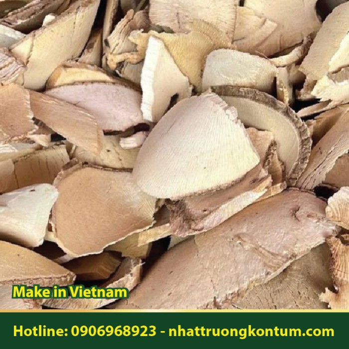 Sâm Béo Trắng - Gomphandra tonkinensis - Túi 1kg