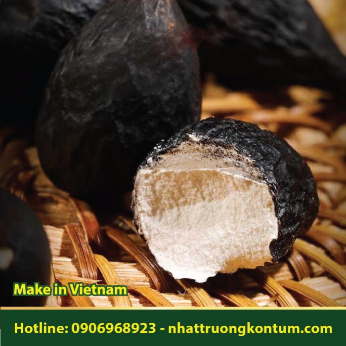 Sâm Ô Linh - Xylaria nigripes - Túi 1kg