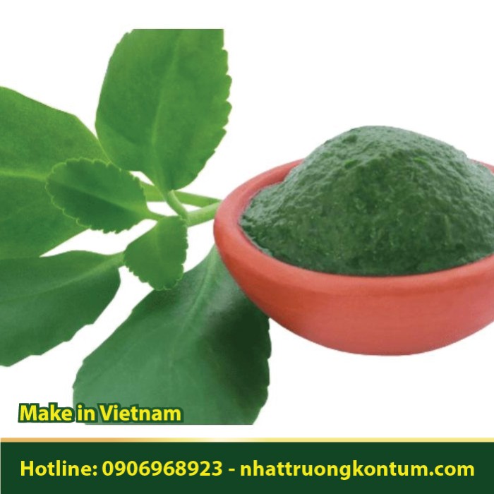 Bột Cây Sống Đời - Kalanchoe pinnata Powder - Túi 1kg