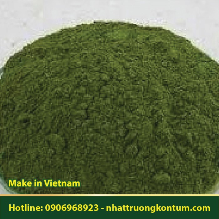 Bột Tai Tượng Đuôi Chồn - Acalypha hispida Powder - Túi 1kg