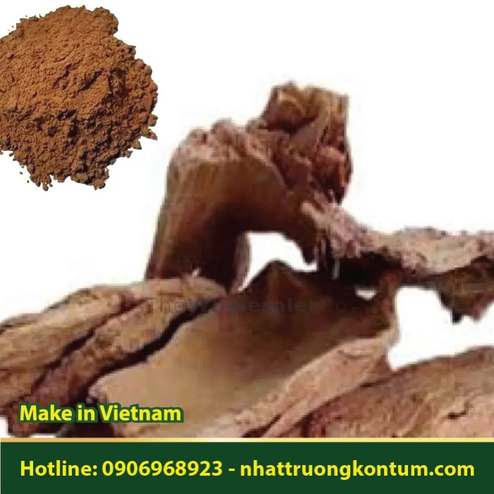 Bột Cây Thanh Mai - Myrica esculenta Powder- Túi 1kg