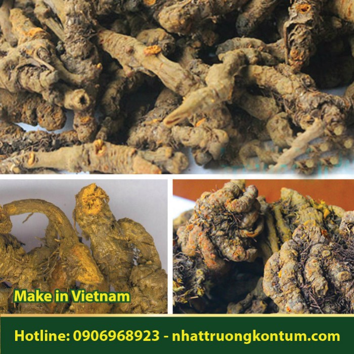 Thổ Hoàng Liên - Thalictrum foliolosum - Túi 1kg