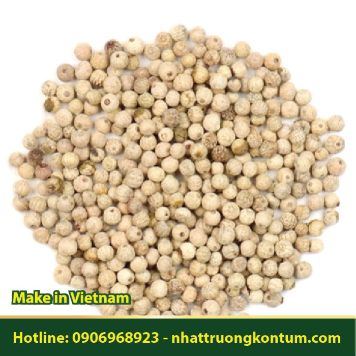 Tiêu Sọ - Tiêu Trắng - White Pepper - Túi 1kg
