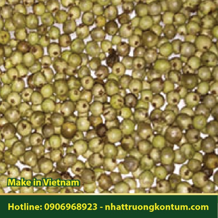 Tiêu Xanh - Green peppercorn - Túi 1kg