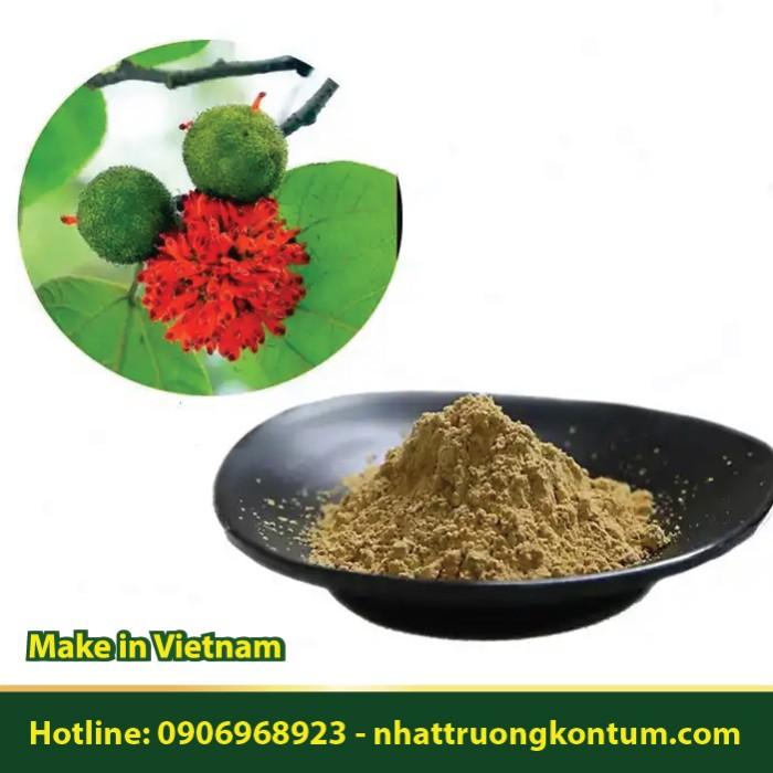 Bột Cây Dướng - Trái Dướng - Broussonetia papyrifera - Túi 1kg