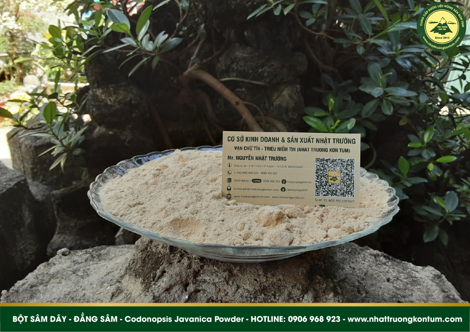 bột sâm dây đẳng sâm codonopsis javanica powder 03