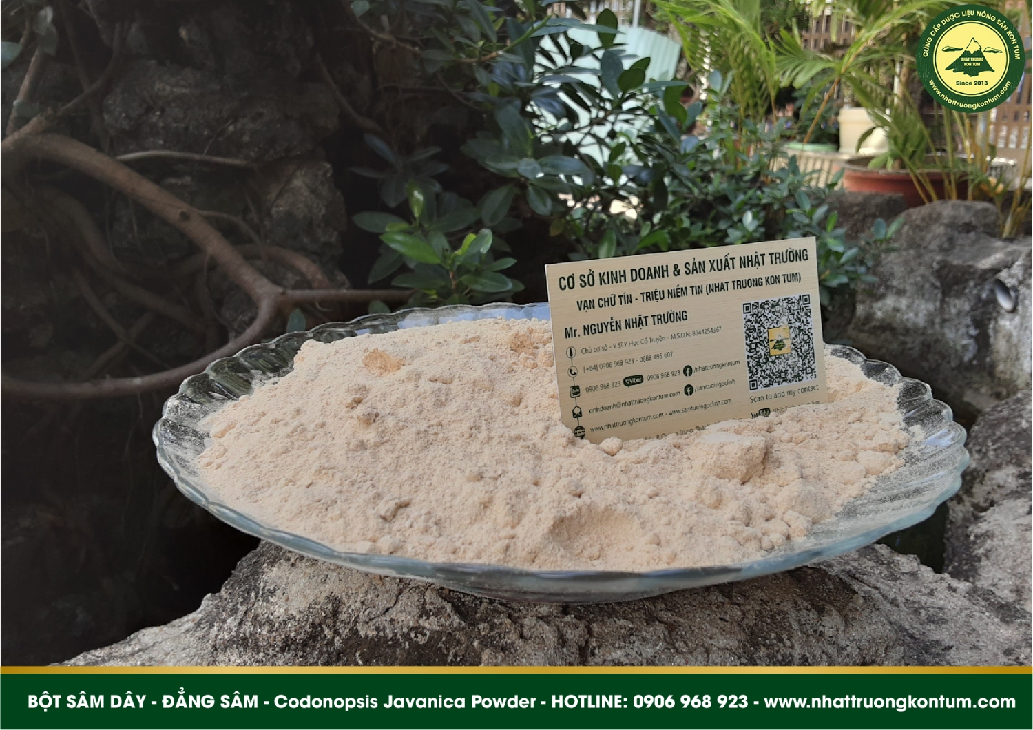 bột sâm dây đẳng sâm codonopsis javanica powder 05
