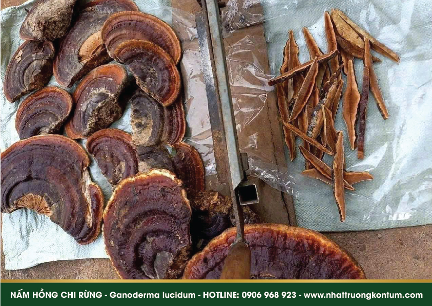 namhongchirung 05