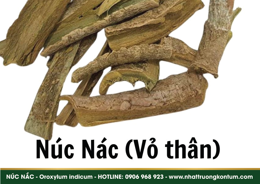 nucnac 04