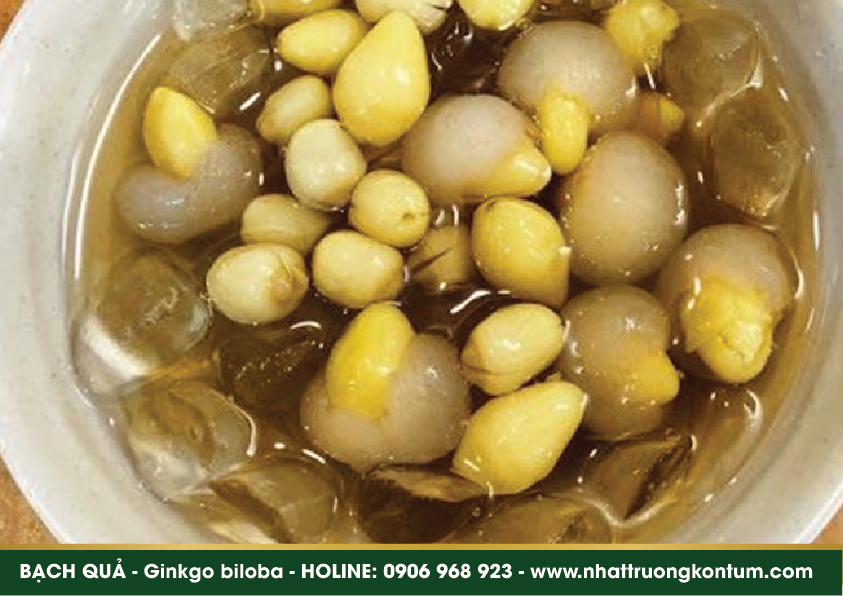 bachqua 04