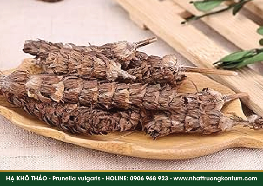 hakhothao 03