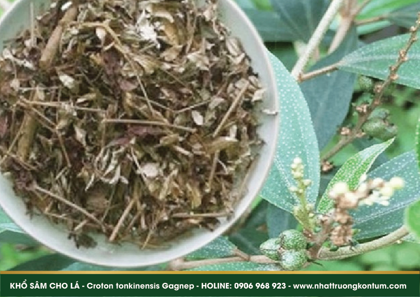 khosam 06
