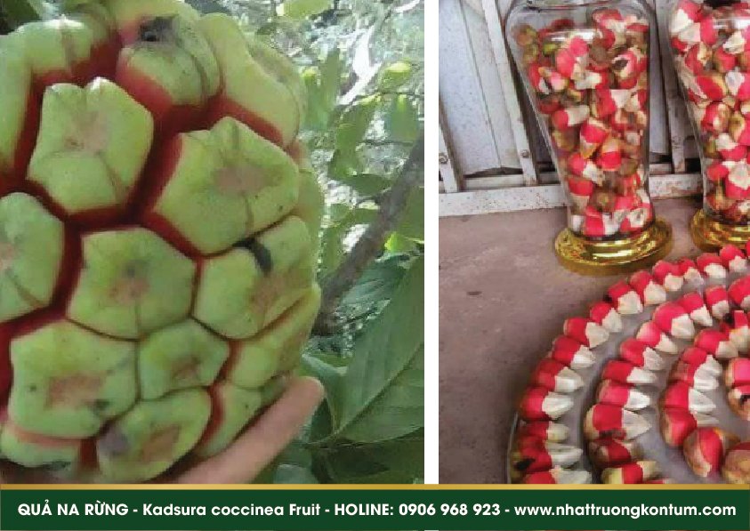 tunkhun 09