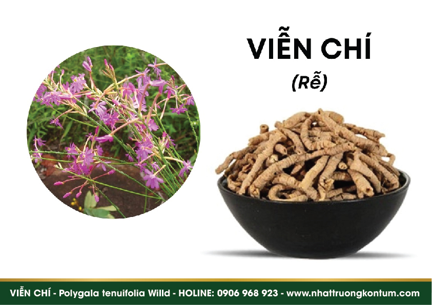 vienchi 03