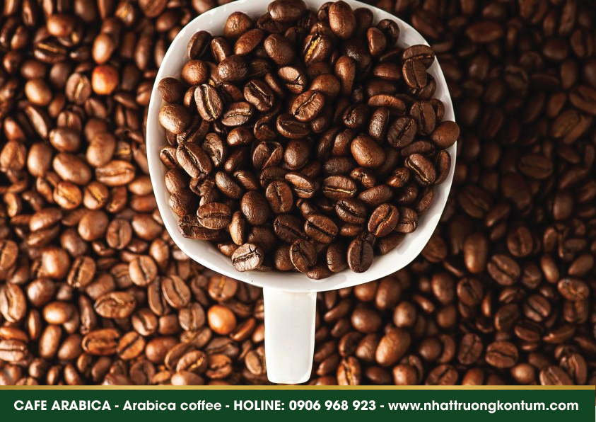 cafearabica 03