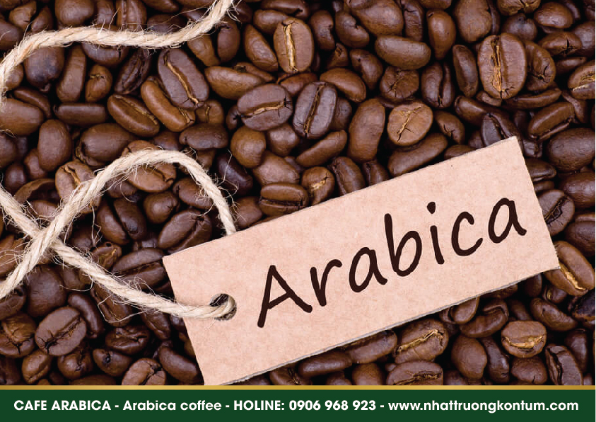 cafearabica 05