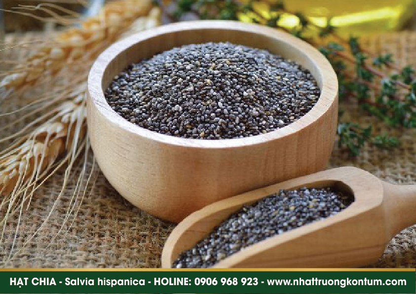 hatchia 05