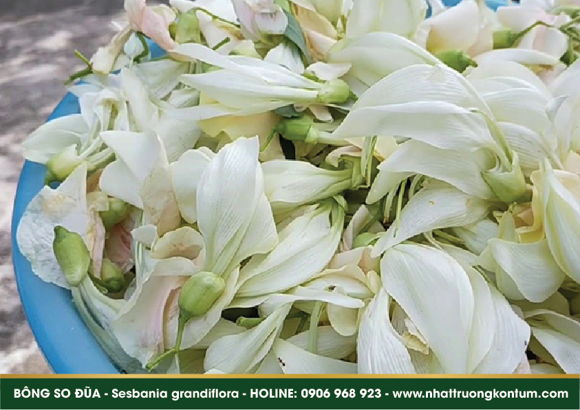 bongsodua 03